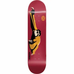 Almost Amrani Animals R7 8.25" Skateboard Deck