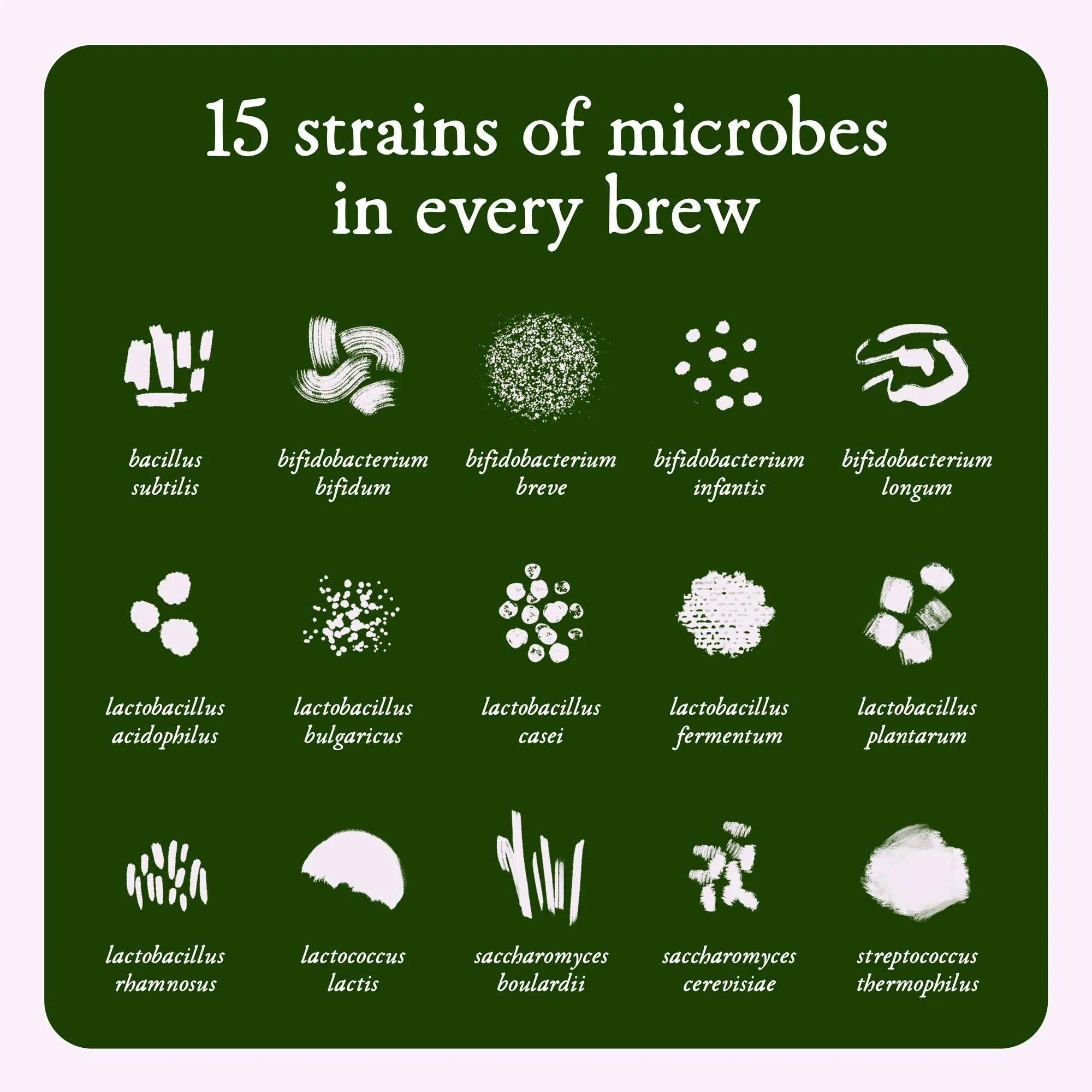 Detox probiotic