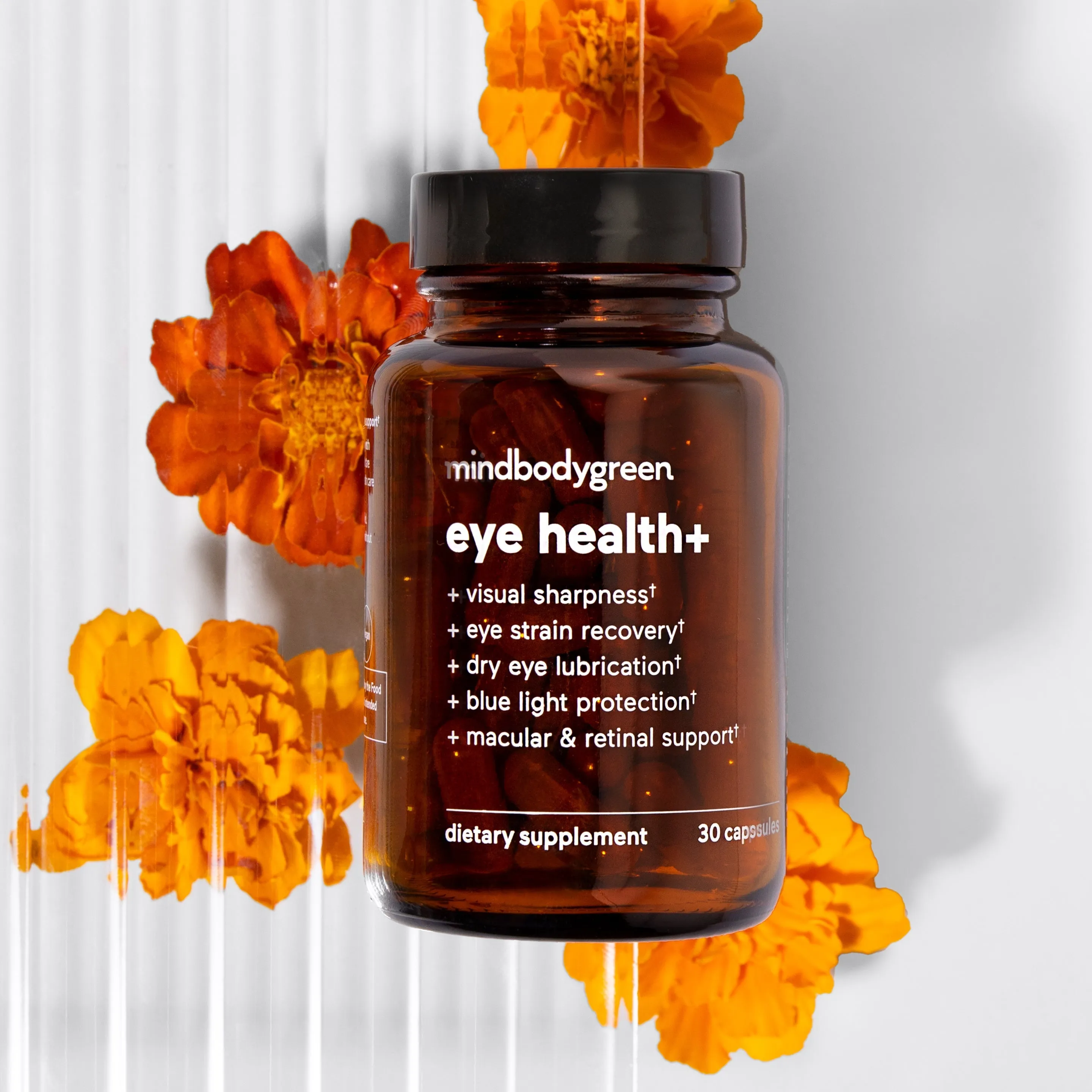 eye health  (semi-annual)