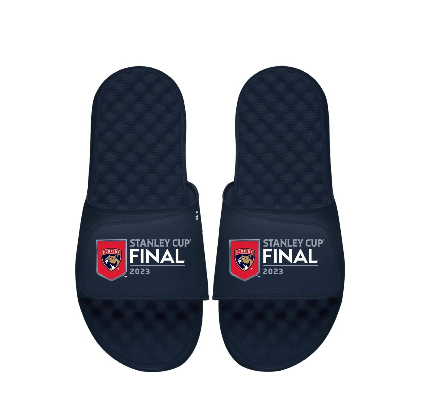 Florida Panthers 23' Cup Finals Slides