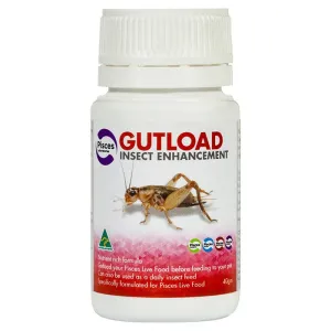 GUTLOAD 40G