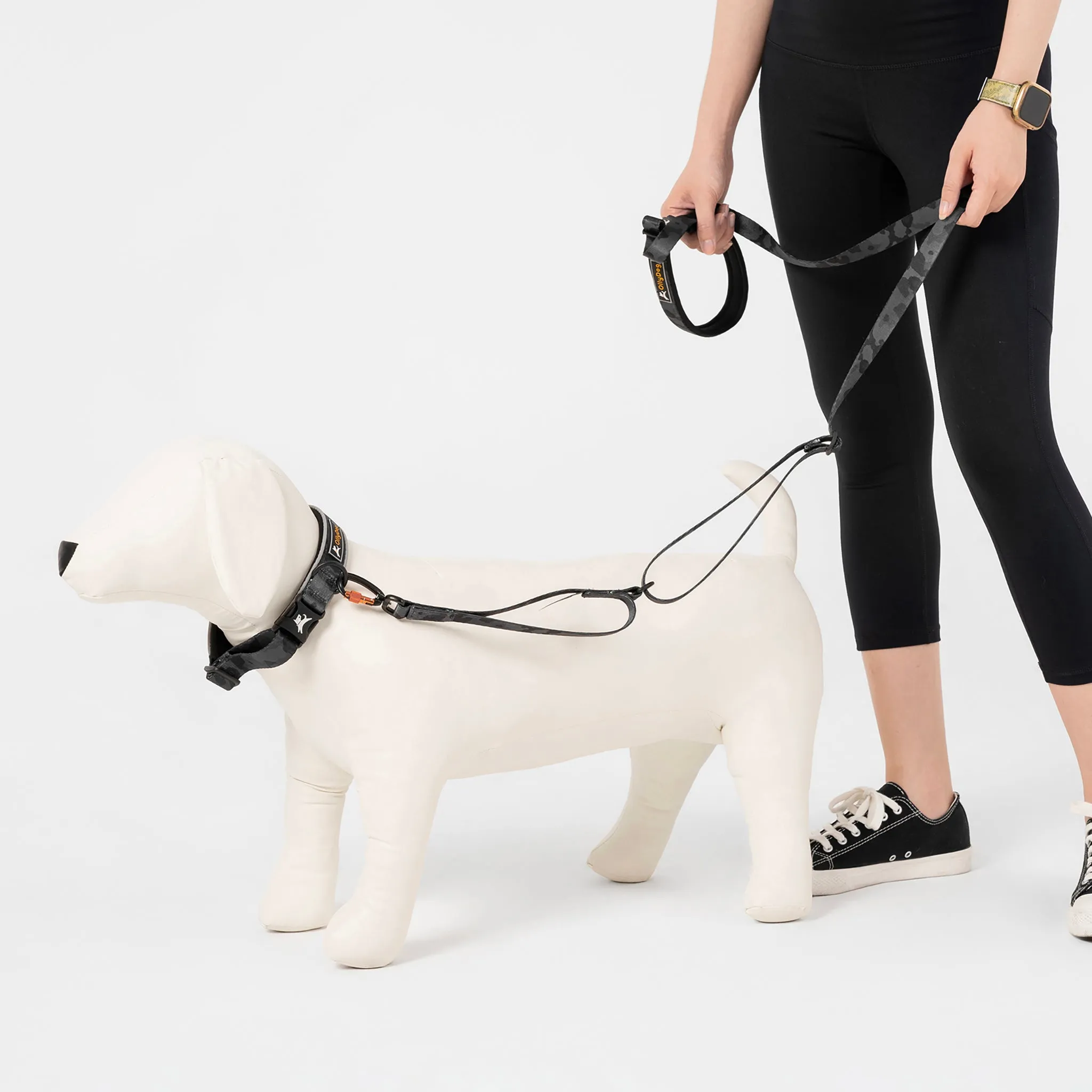 NEW Flagstaff Adjustable Leash | Adjustable Dog Leash