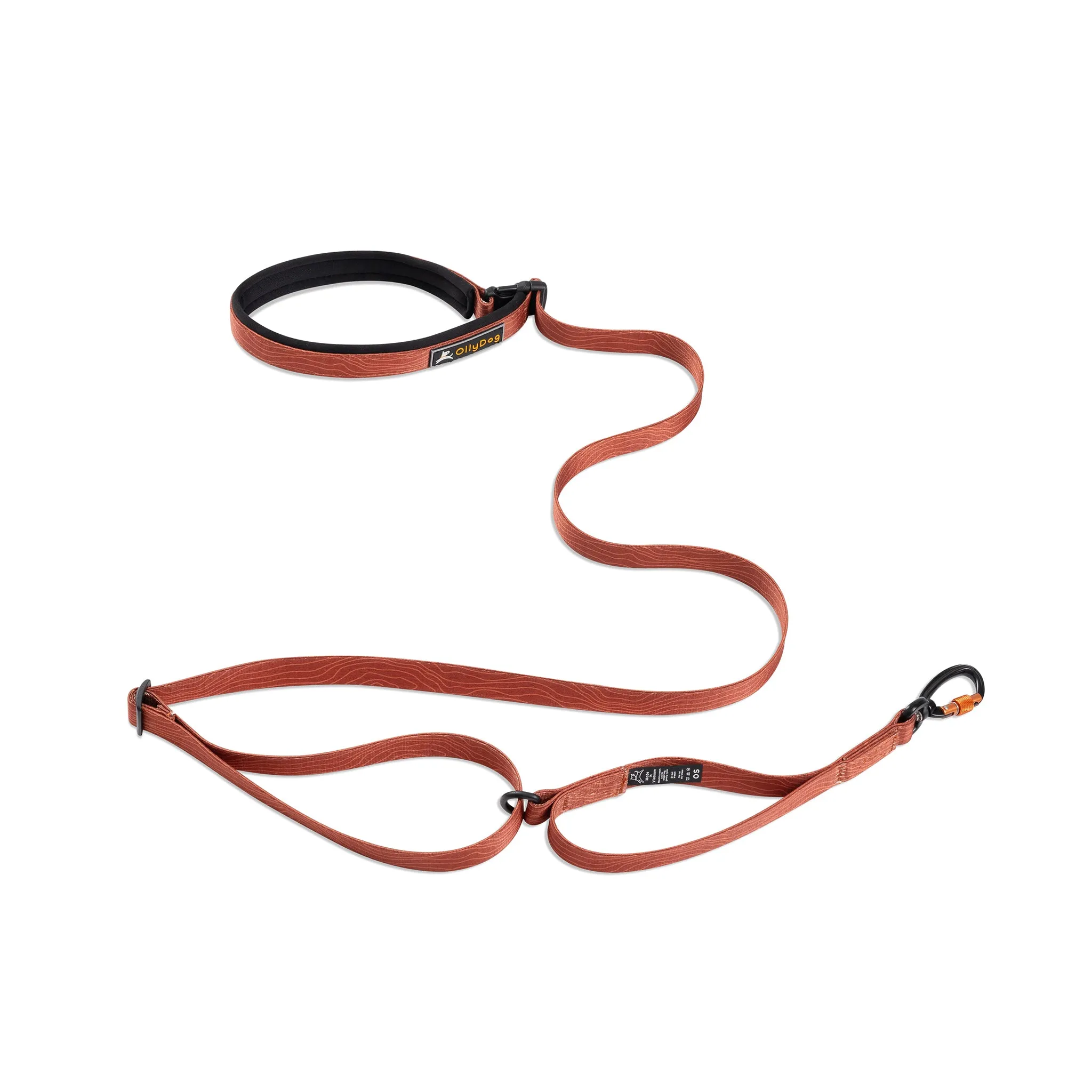 NEW Flagstaff Adjustable Leash | Adjustable Dog Leash