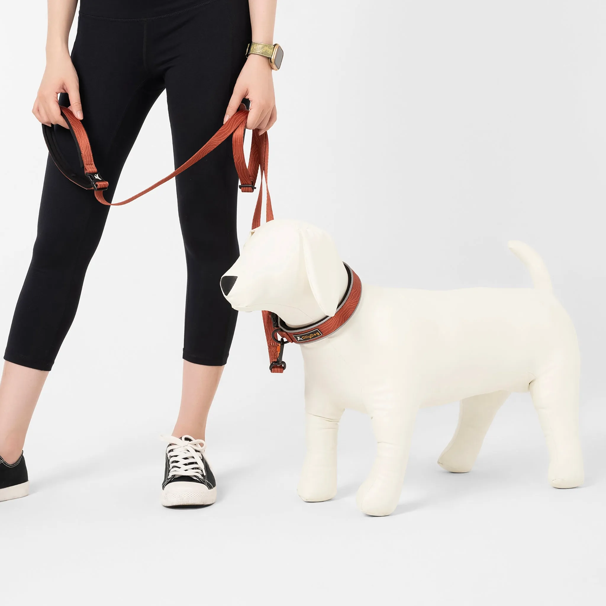 NEW Flagstaff Adjustable Leash | Adjustable Dog Leash