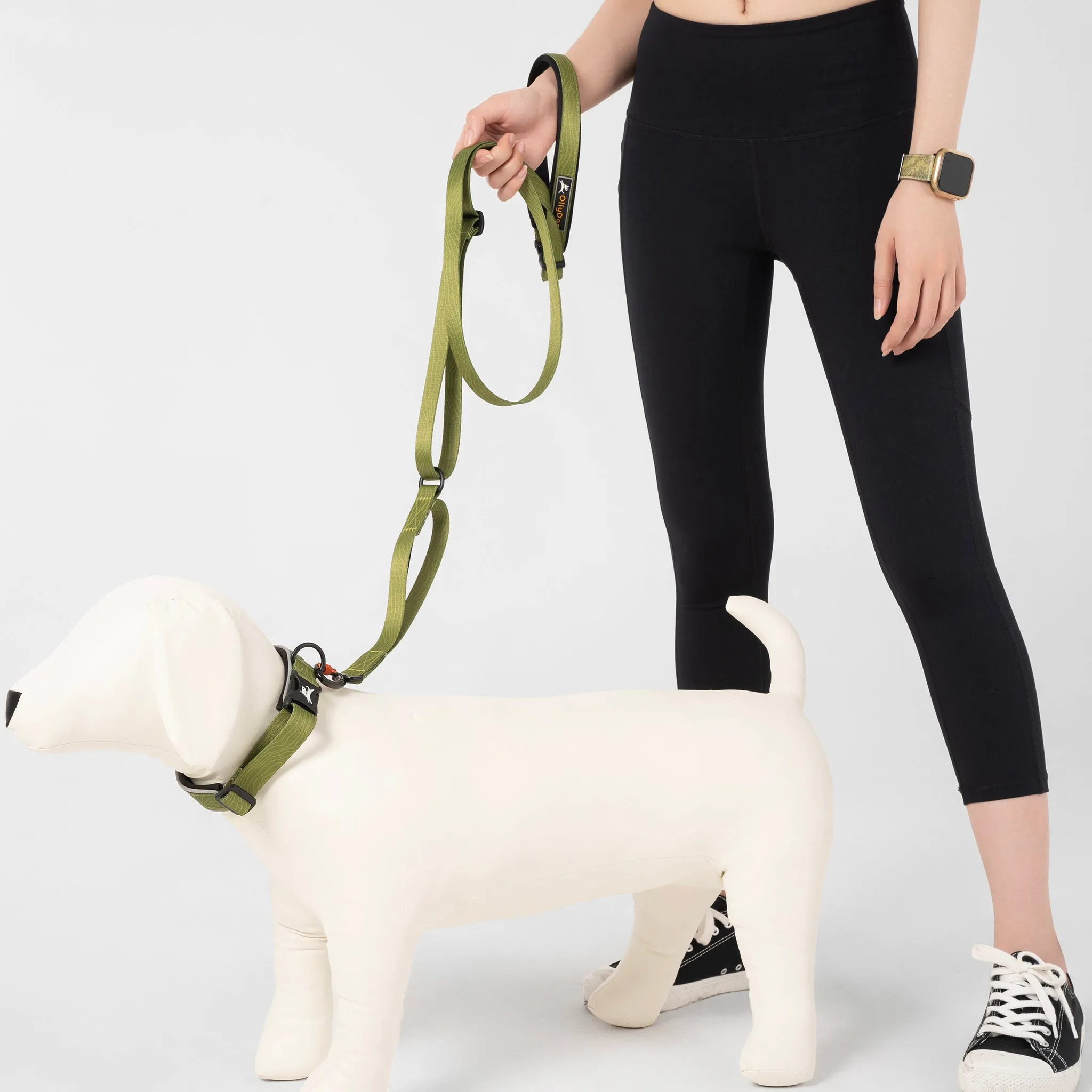 NEW Flagstaff Adjustable Leash | Adjustable Dog Leash