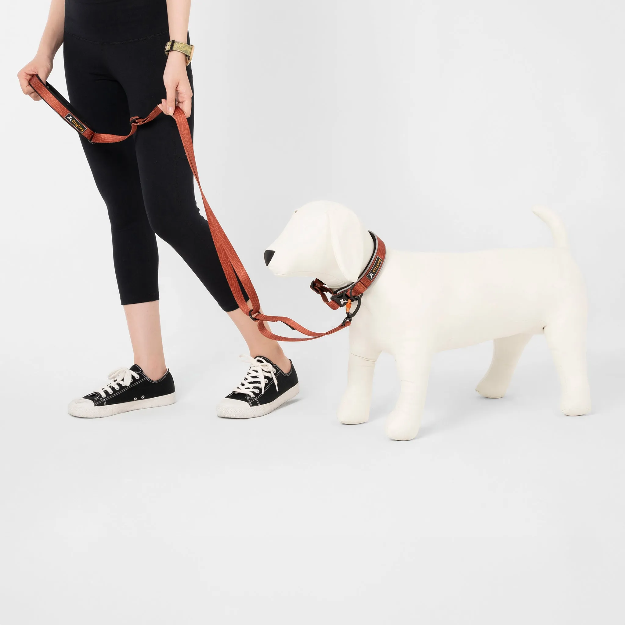 NEW Flagstaff Adjustable Leash | Adjustable Dog Leash