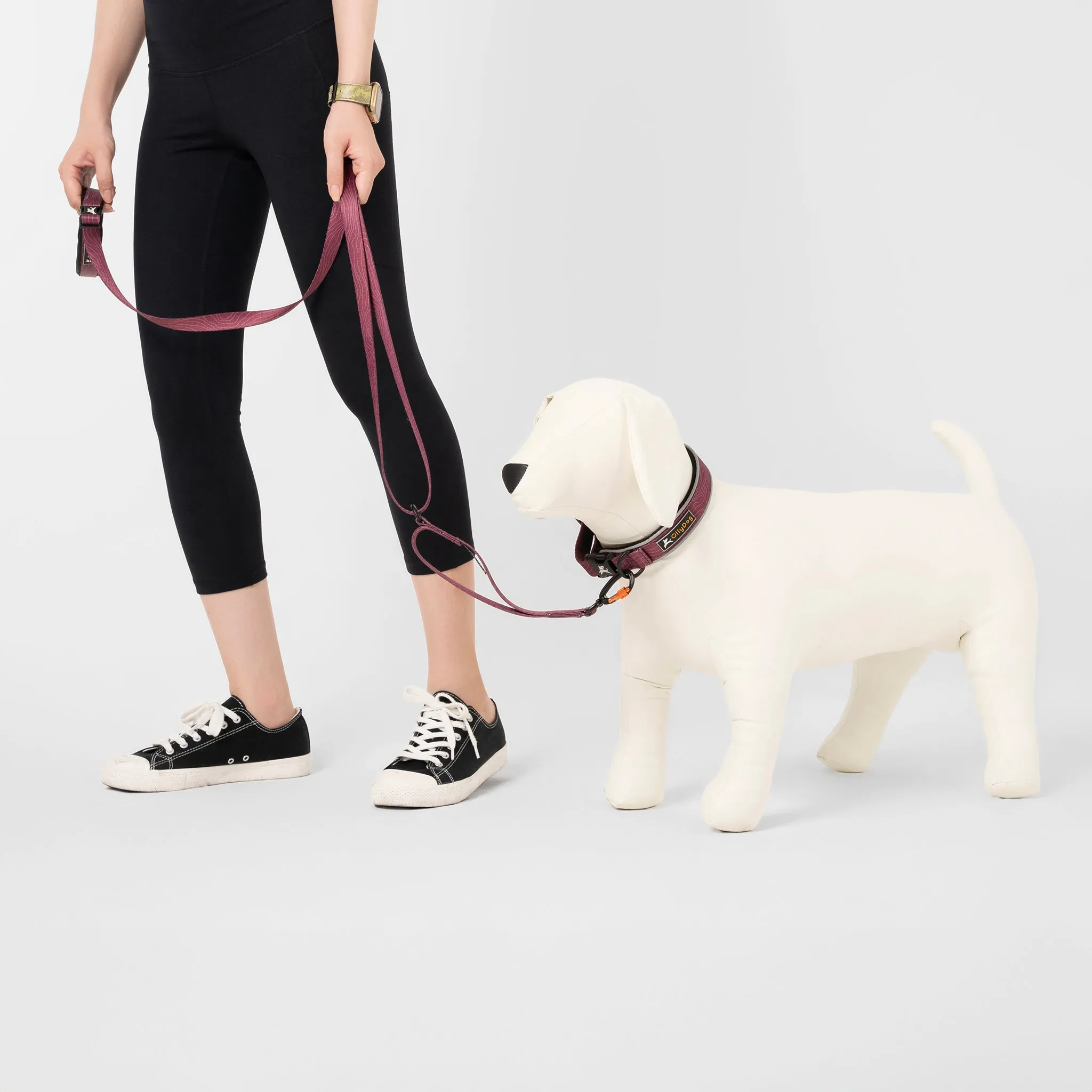 NEW Flagstaff Adjustable Leash | Adjustable Dog Leash