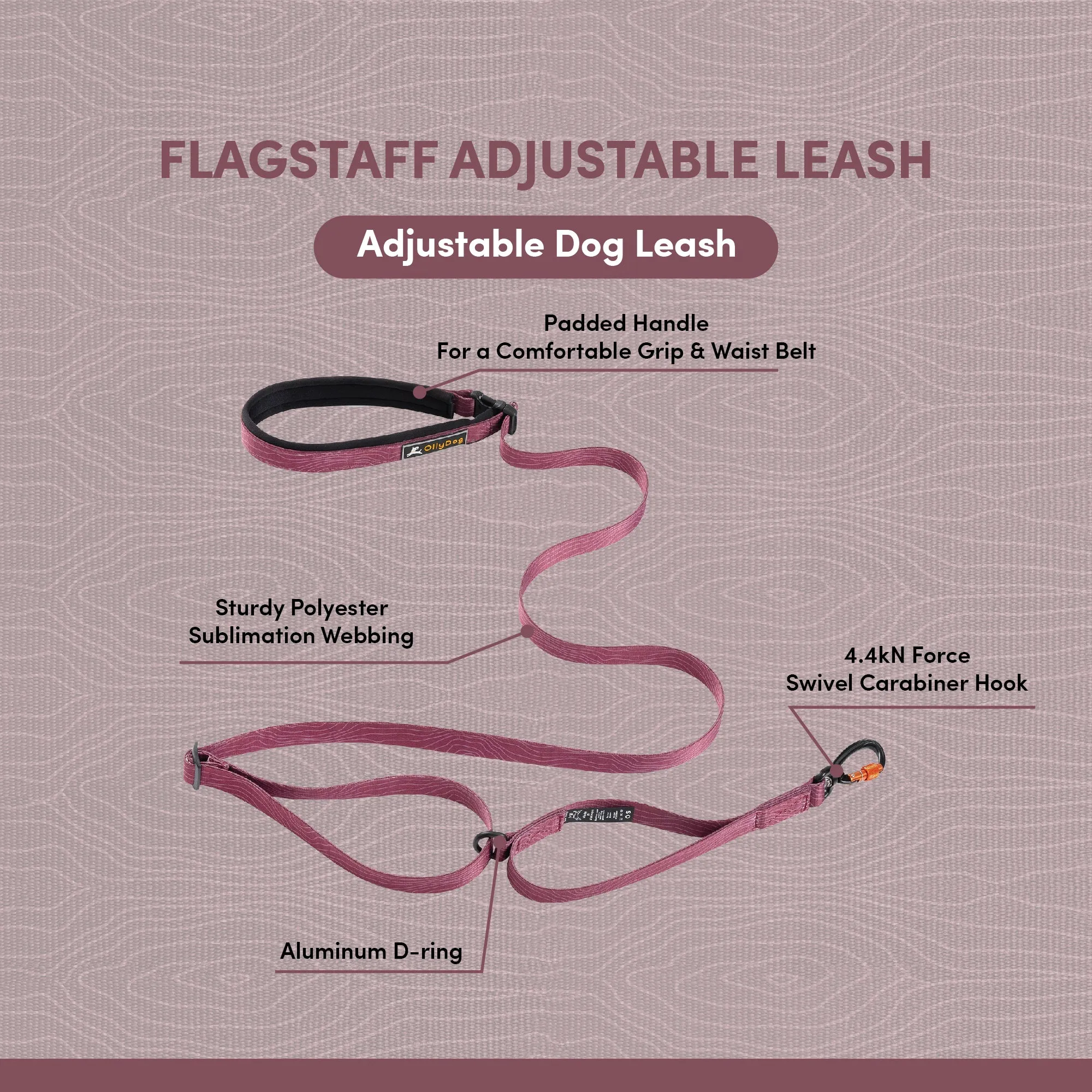 NEW Flagstaff Adjustable Leash | Adjustable Dog Leash