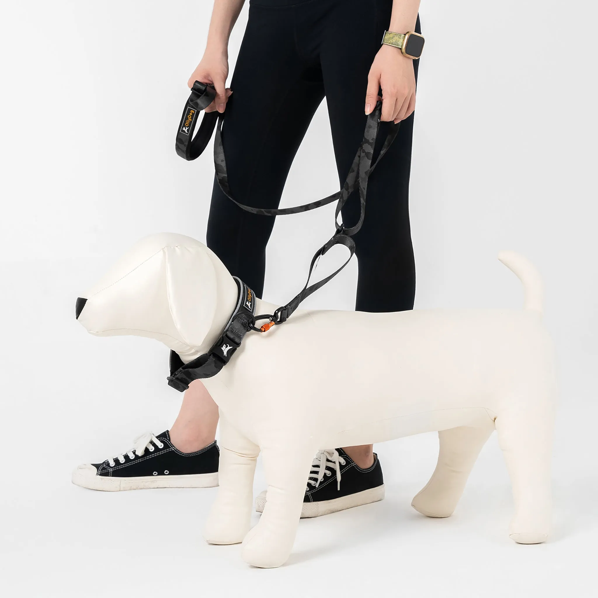 NEW Flagstaff Adjustable Leash | Adjustable Dog Leash