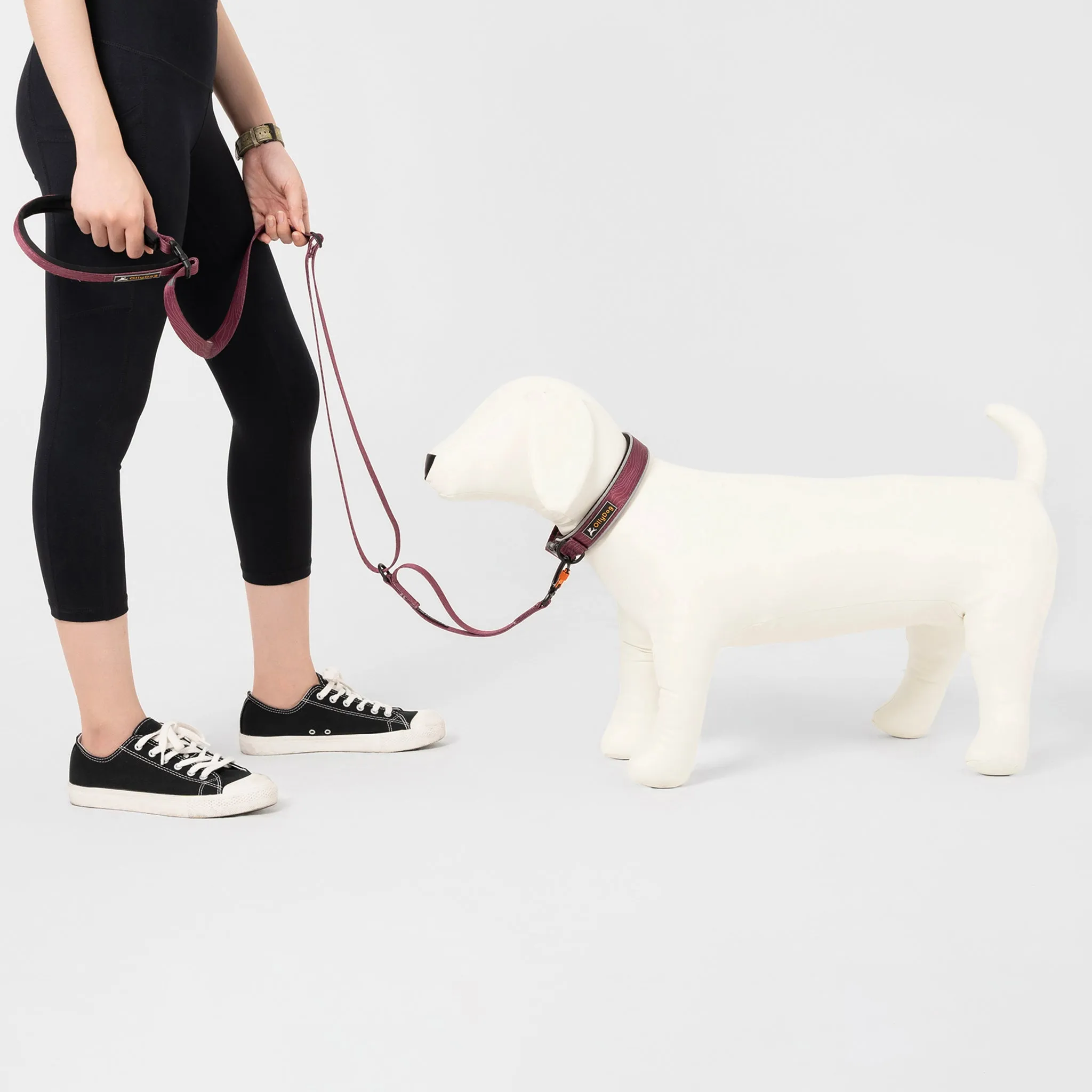 NEW Flagstaff Adjustable Leash | Adjustable Dog Leash