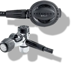 Sherwood Brut Pro Regulator