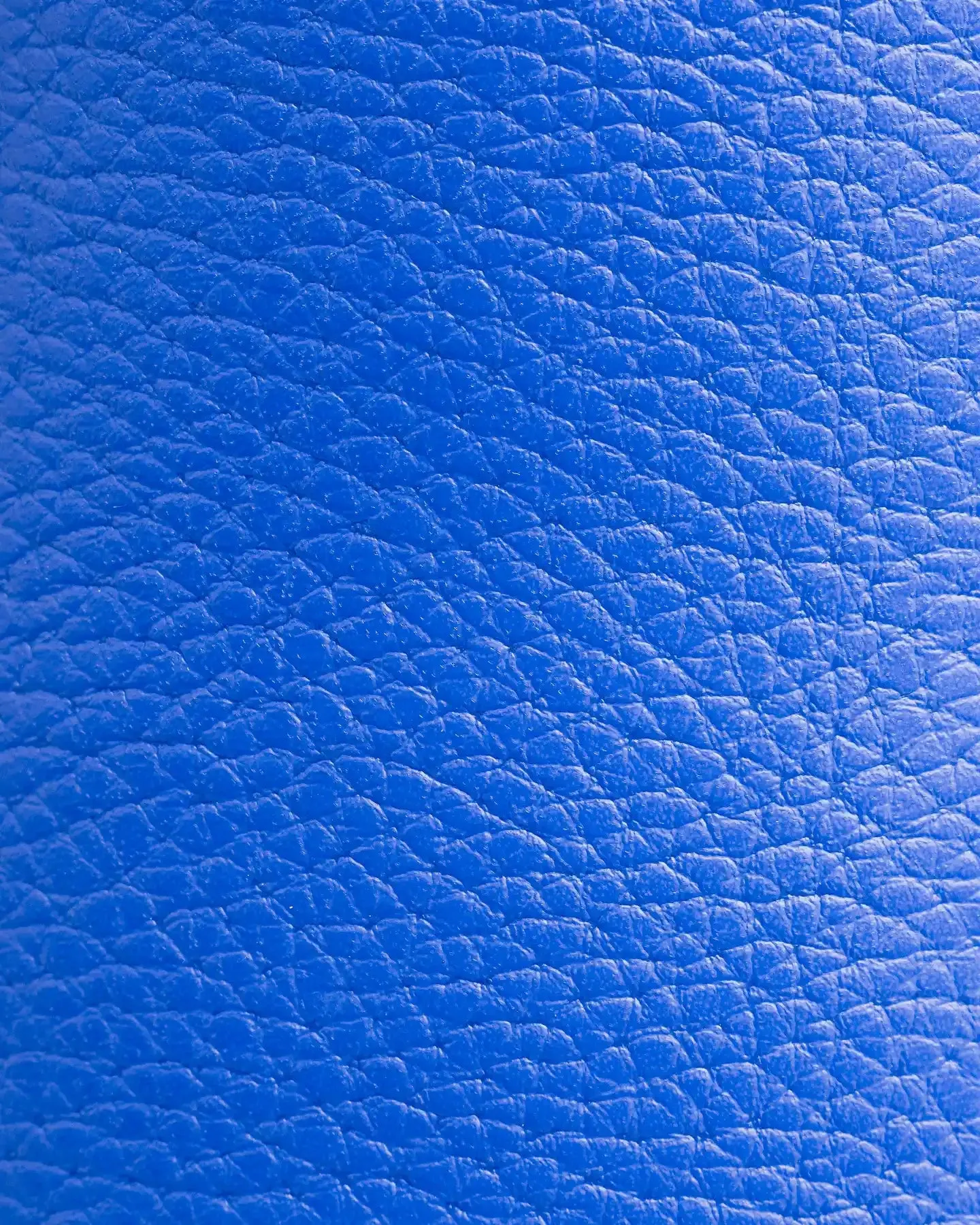 The Clog - Bluing