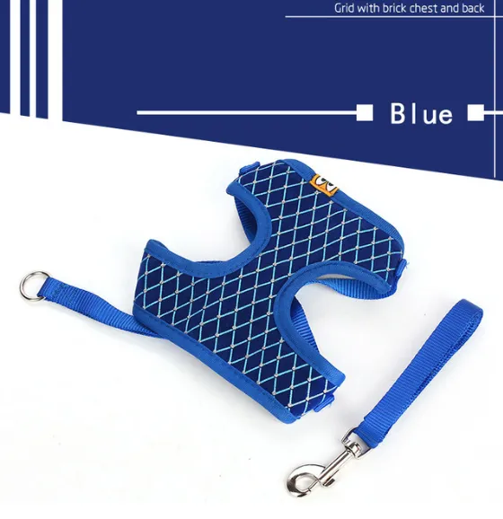 Versatile Pet Leash: Dog Leash & Cat Leash Combo