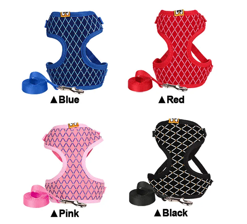 Versatile Pet Leash: Dog Leash & Cat Leash Combo