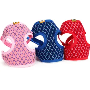 Versatile Pet Leash: Dog Leash & Cat Leash Combo