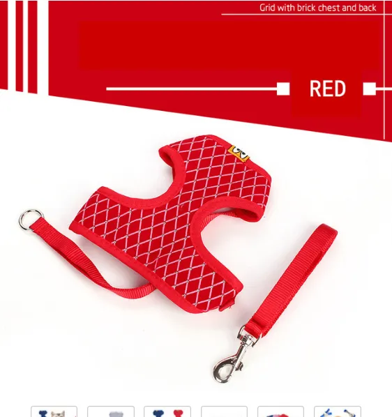Versatile Pet Leash: Dog Leash & Cat Leash Combo