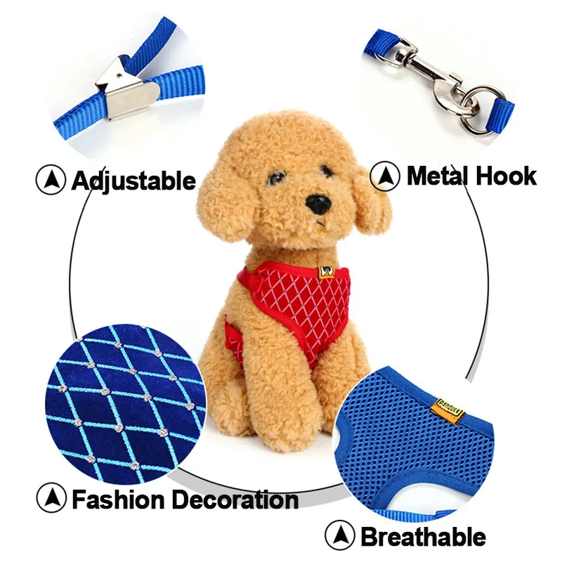 Versatile Pet Leash: Dog Leash & Cat Leash Combo
