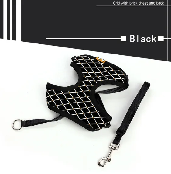 Versatile Pet Leash: Dog Leash & Cat Leash Combo