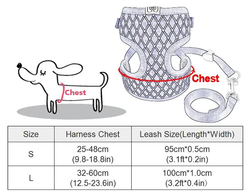 Versatile Pet Leash: Dog Leash & Cat Leash Combo