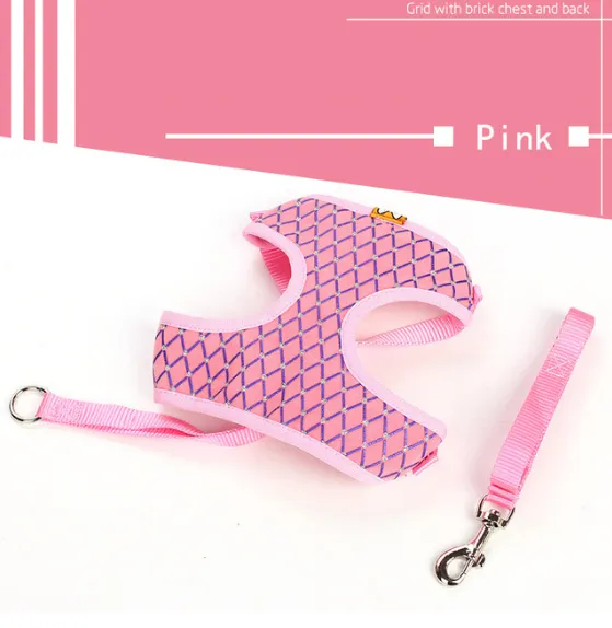 Versatile Pet Leash: Dog Leash & Cat Leash Combo